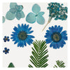 Fiori e foglie secchi blu, 19dlg.