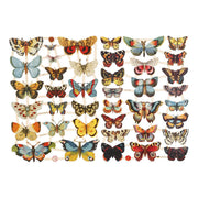 Creativ company vintage plaatjes vlinders, 2 vellen - afbeelding 2