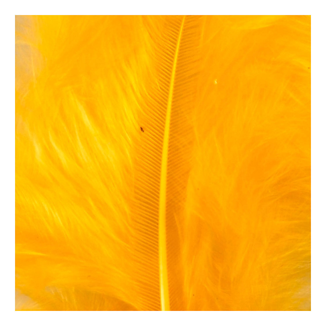 Creativ Company Piumino giallo 5-12 cm, 15 pezzi.