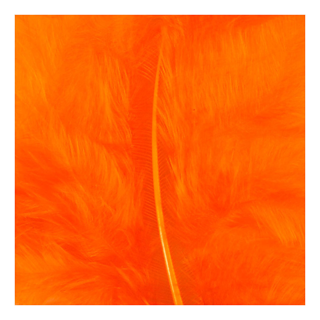 Creativ Company Piumino arancione 5-12 cm, 15 pezzi.