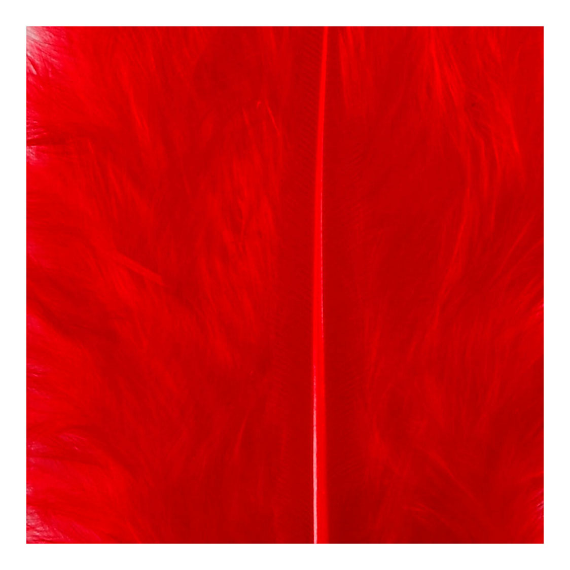Creativ Company Piumino rosso 5-12 cm, 15 pezzi.