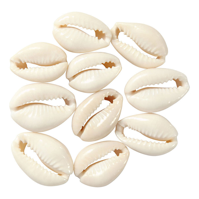 Creative Company Shells White, 12st.