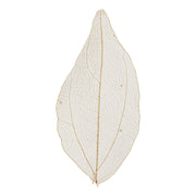 Https: www.cchobby.nl skeleton-leaves-l-4-5-8-cm-naturel-20-stuk-1-doos - afbeelding 2