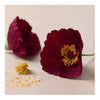 Poppies de creativ Company Mini Hobbyset Crepepapier