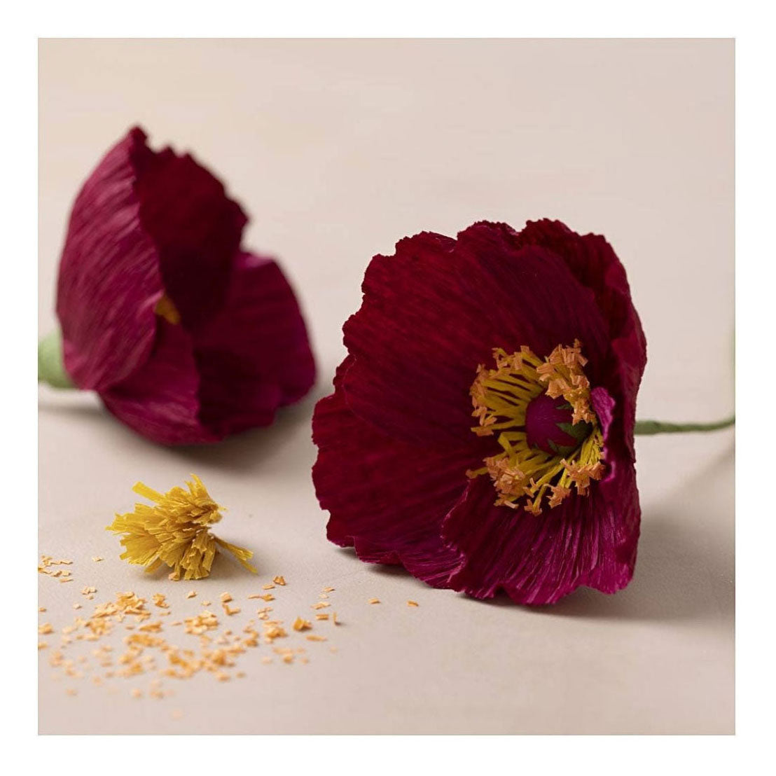 Poppies de creativ Company Mini Hobbyset Crepepapier