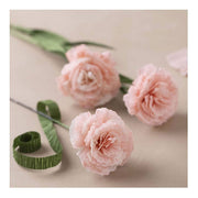 Creativ company https: www.cchobby.nl mini-hobbyset-crepepapier-anjers-crepe-verhouding-180-105-gr-1-doos - afbeelding 3