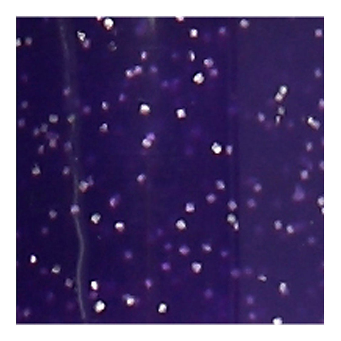 Creative Company Glasen porcellana Start Violet semi-copertura glitter