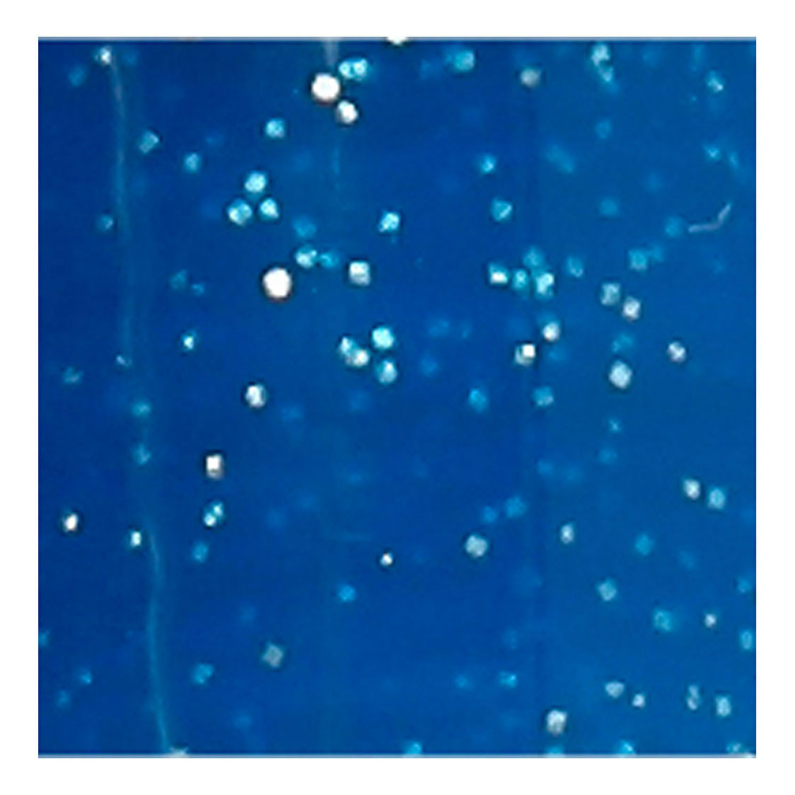 Creative Company Glasen porcellana Start glitter blu semi-coperto