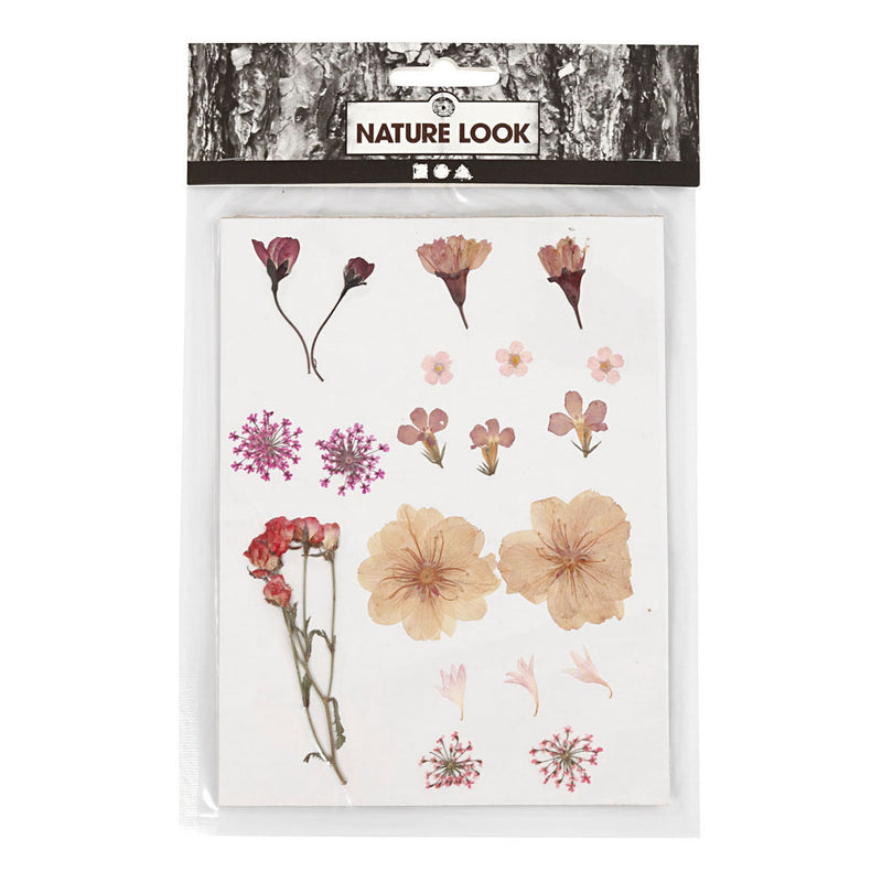 Creative Company Fiori secchi e foglie rosa chiaro