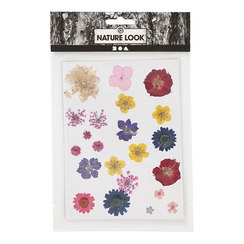 Creativ company gedroogde bloemen en bladeren diverse kleuren