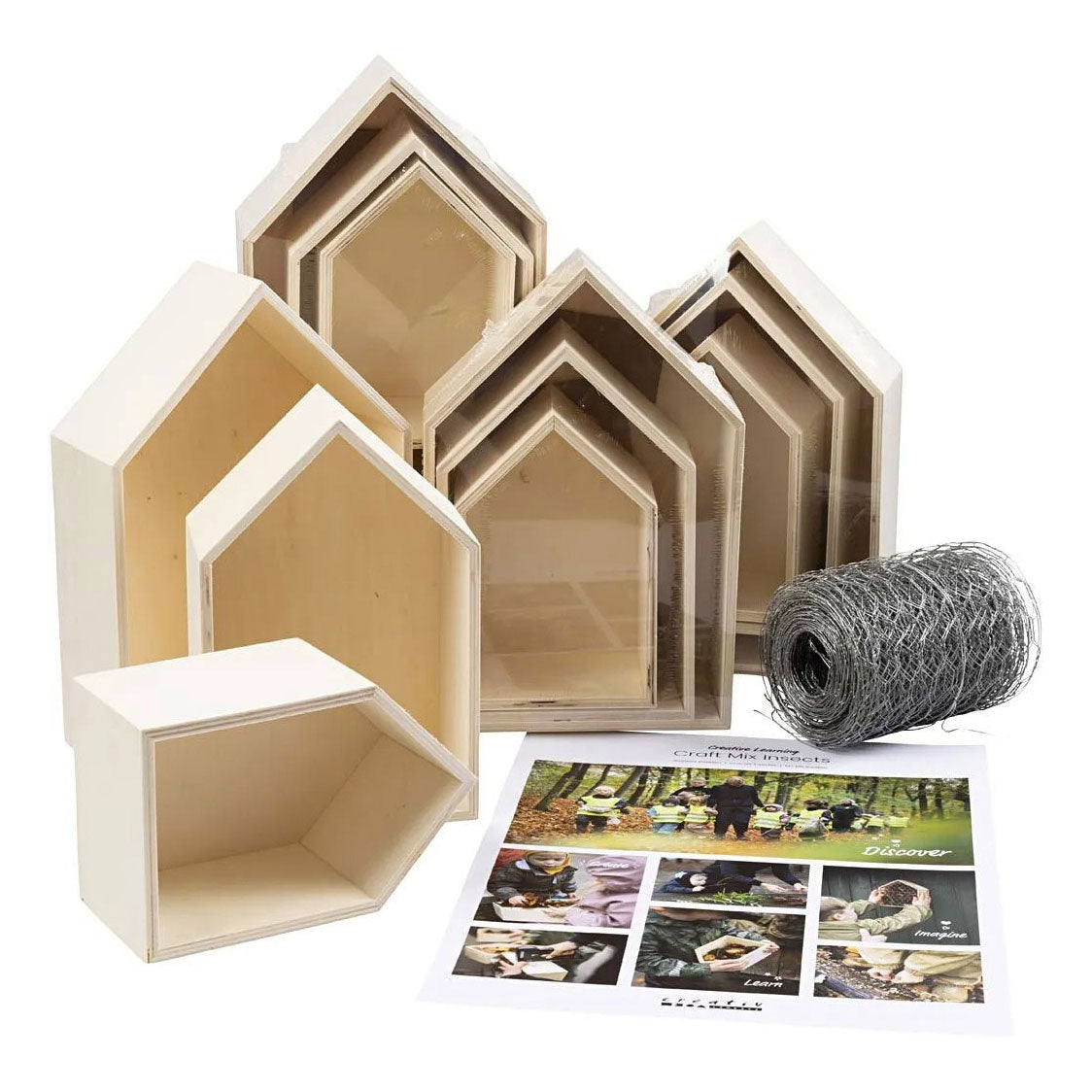 Creative Company Creative Box Box Insect Wood Set