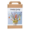 Creativ company creative box creative spring, varios colores, 1 caja