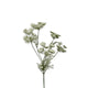 Collezione Roberts fiore artificiale aneto 80 cm bianco