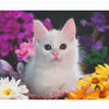 RAVENSBURGER JIGSAW puzzle xxl bellissimo gattino, 100 °.