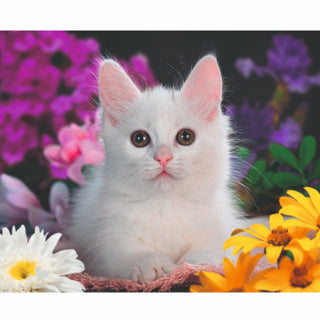 RAVENSBURGER JIGSAW puzzle xxl bellissimo gattino, 100 °.