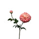 Roberts collection flor artificial dalia spray 74cm perla