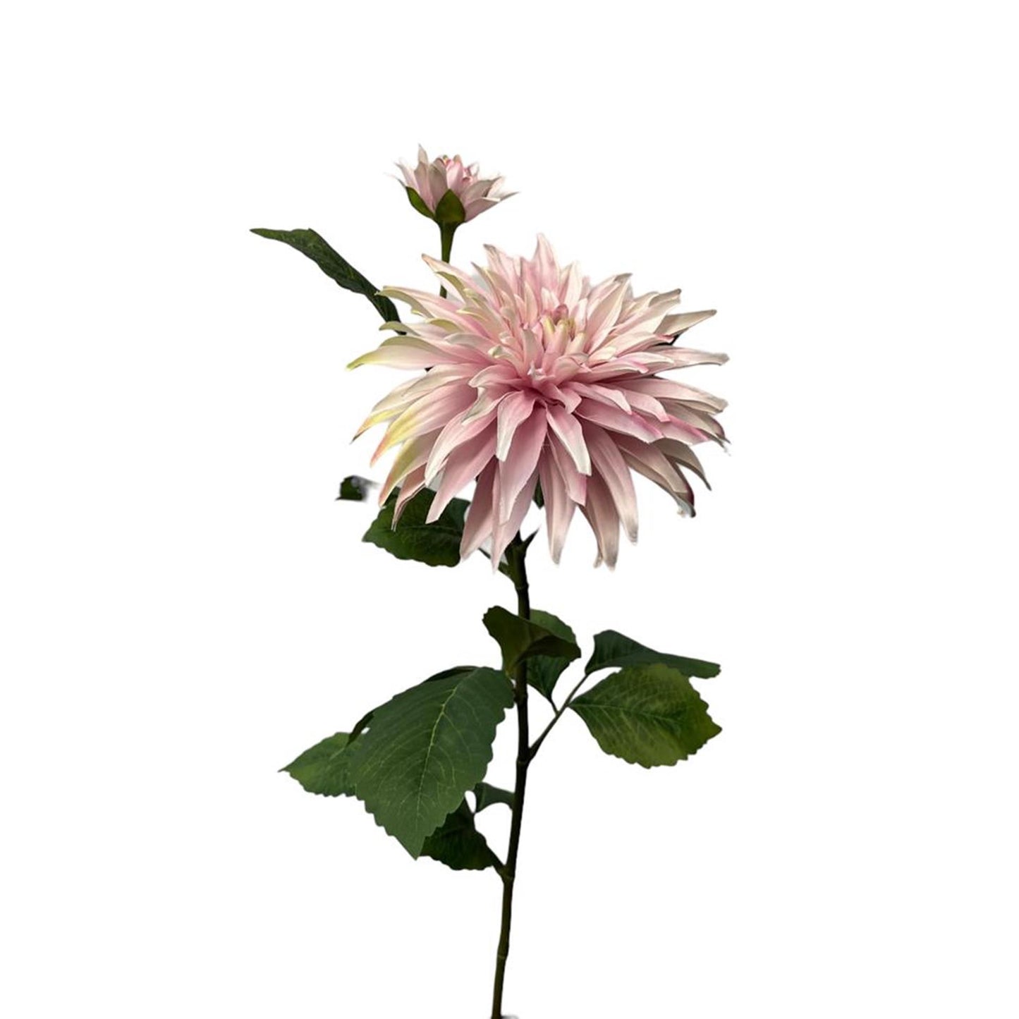 Colección Roberts flor artificial dalia + spray de capullos 74cm perla