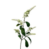 Roberts collection kunsttak lupin spray 95cm wit - afbeelding 1