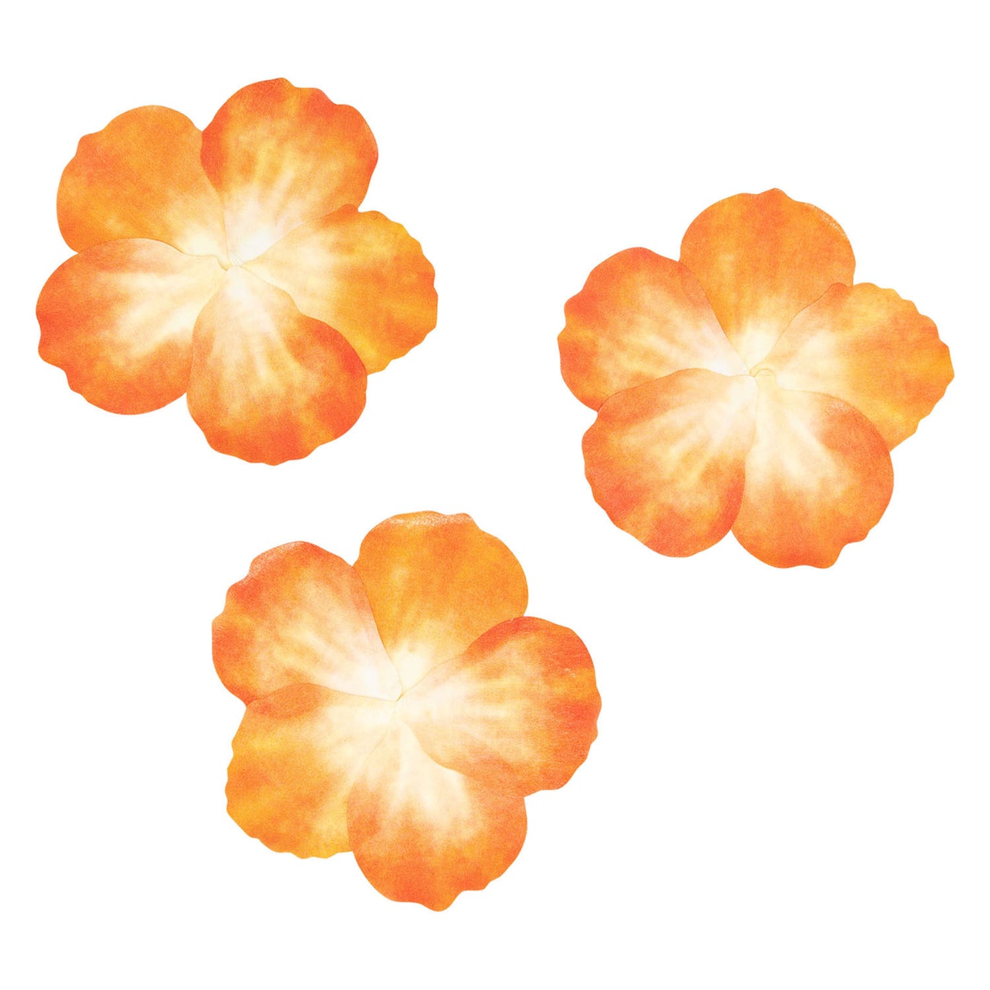 Coloraciones Pegatinas Washi Pétalos Oranje, 80º.