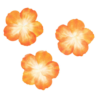 Coloraciones Pegatinas Washi Pétalos Oranje, 80º.