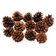 Colorations pine cones, 12st.