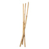 Colorazioni Bamboo si attacca 50 cm, 3 °.