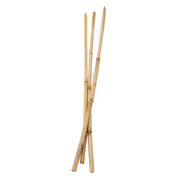 Colorazioni Bamboo si attacca 50 cm, 3 °. - afbeelding 1