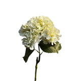 Roberts collection kunstbloem hydrangea real touch 75cm creme - afbeelding 1