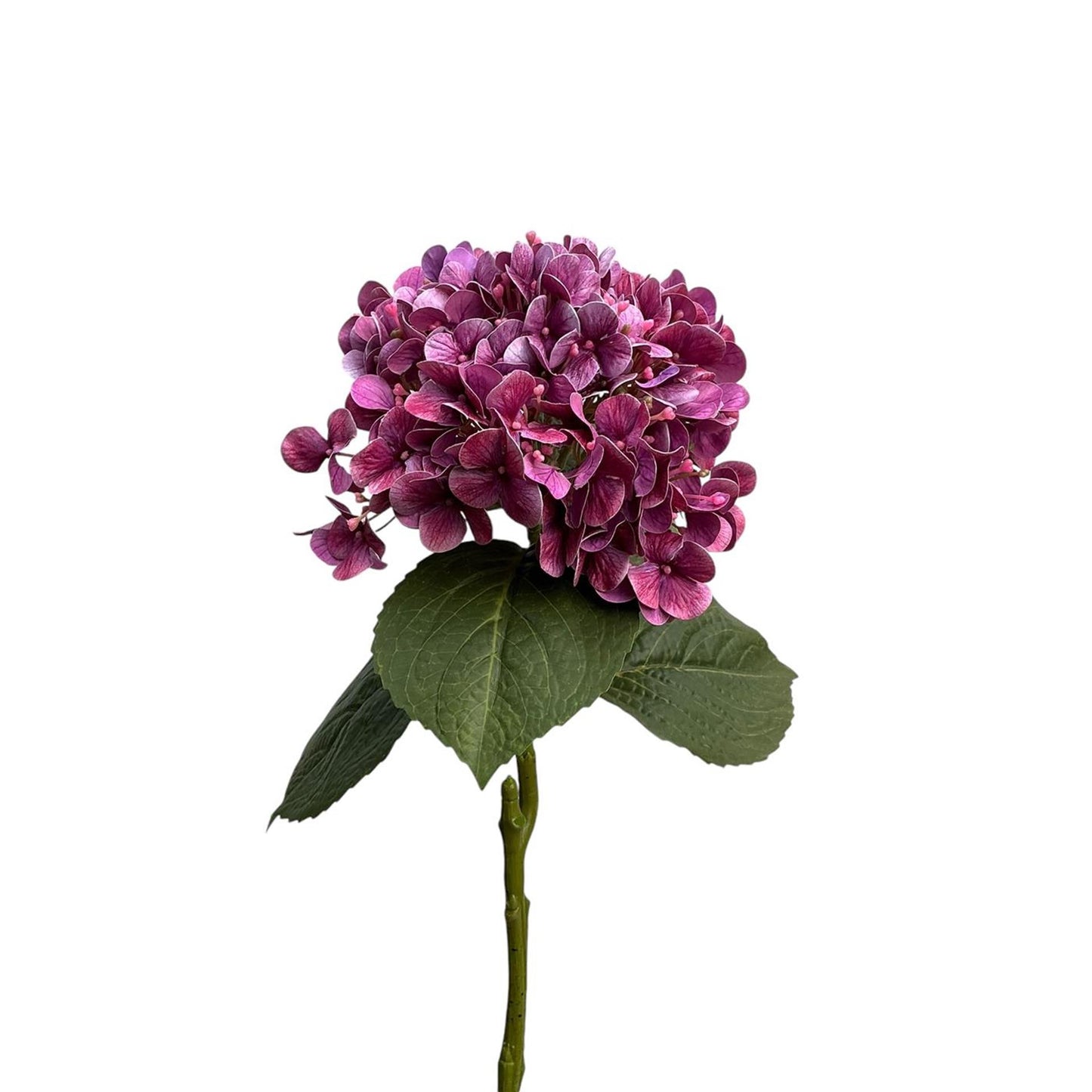 Collezione Roberts ortensia real touch 75 cm viola