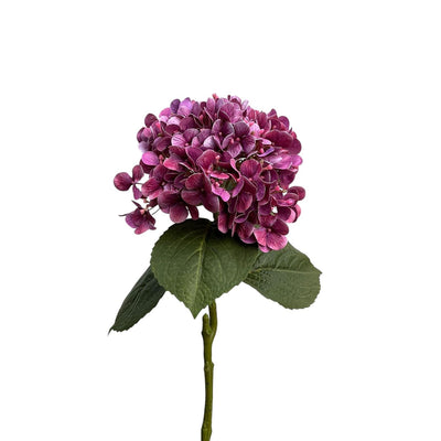 Colección Roberts hortensia real touch 75cm violeta