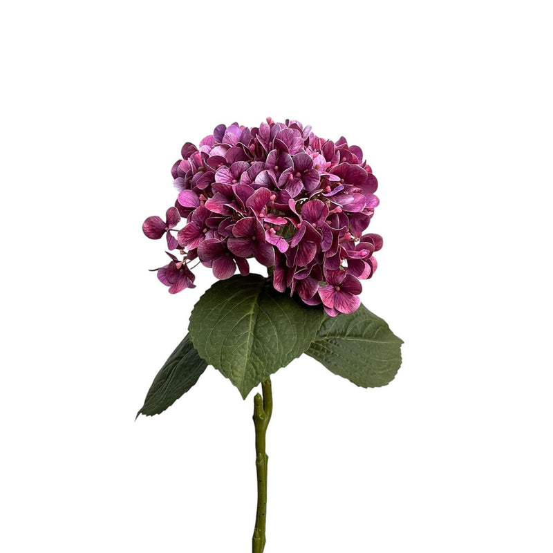 Collezione Roberts ortensia real touch 75 cm viola