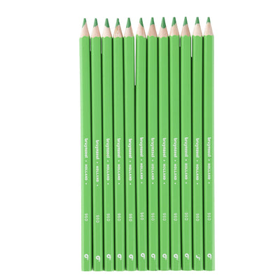 Bruynzeel • matite super colorate verde chiaro 12pz