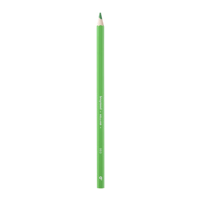 Bruynzeel • matite super colorate verde chiaro 12pz