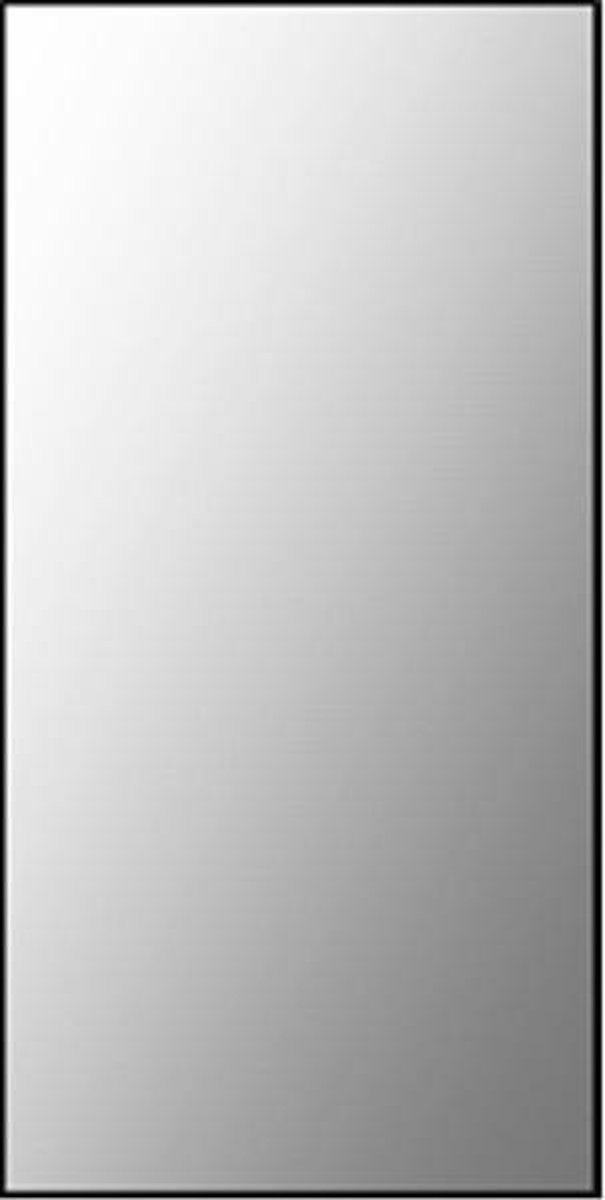 Plieger basic espejo sanitario 60x30cm