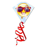 Kites Ready 2 Fly Vlieger emoji - afbeelding 1