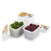 Rotho freezer box set 4-piece 1l