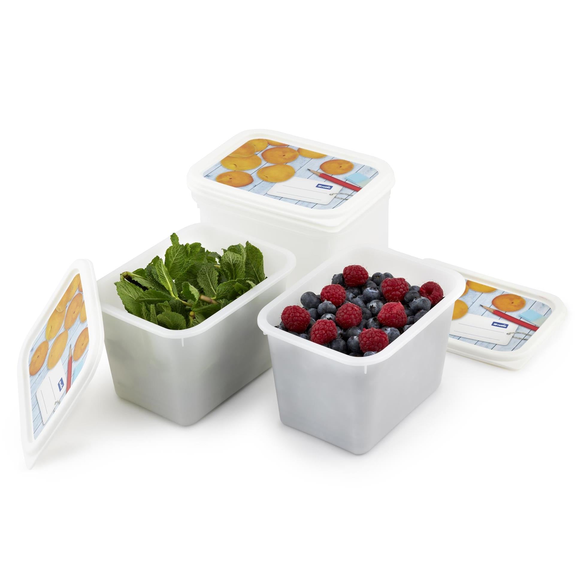 Rotho freezer box set 4-piece 1l