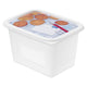 Rotho freezer box set 4-piece 1l