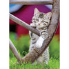 Ravensburger puzzle gatti 2 x 500 pezzi