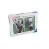 RAVENSBURGER PUZZZA PANDA E KOALA 2 X 500 pezzi