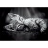 Clementoni puzzel 1000pcs kitty