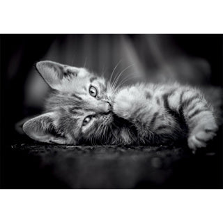 Clementoni puzzel 1000pcs kitty