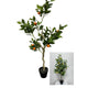 Deco limonero-naranja h120cm