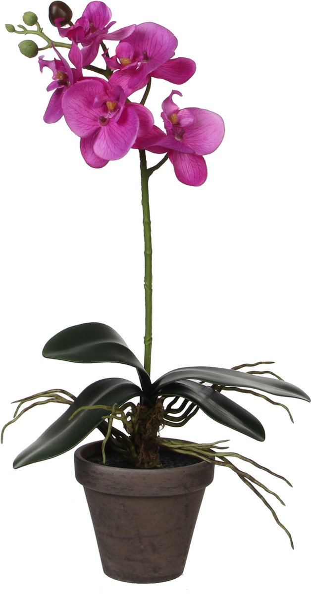 Decorazioni in mica pianta artificiale - orchidea phalaenopsis - viola - 48 cm - piante artificiali piante finte con fiori