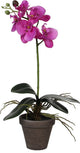 Decorazioni in mica pianta artificiale - orchidea phalaenopsis - viola - 48 cm - piante artificiali piante finte con fiori