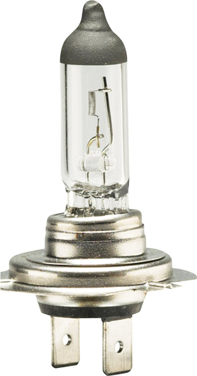 Lampada per auto Carpoint h7 12 volt 55 watt bianca per pezzo