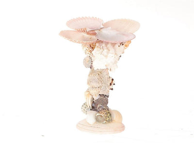 Hbx galería de concha de candelabro natural living h16cm