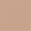 Colore per poster Schjerning Greenspot, opaco, beige, 500 ml 1 bottiglia