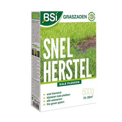 Bsi semi di erba a recupero rapido 500g