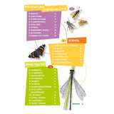 The best insect guide for kids - afbeelding 3